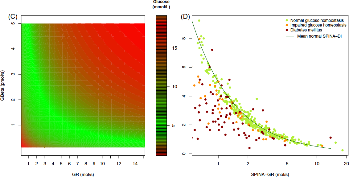 Theoretische Vorhersage (links) und klinische Beobachtungen (rechts) zum Zusammenhang zwischen der Sekretionsleistung pankreatischer Betazellen (SPINA-GBeta) und der Insulinsensitivität (SPINA-GR) mit der darauf beruhenden Definition des statischen Dispositionsindex (SPINA-DI)